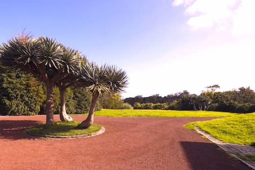 Gala Da Vittoria, Terrace/patio
