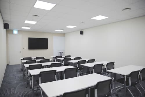 Sotetsu Hotels The Splaisir Seoul Dongdaemun, Meeting facility