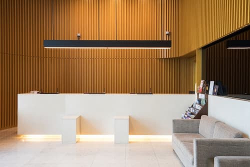 Sotetsu Hotels The Splaisir Seoul Dongdaemun, Reception