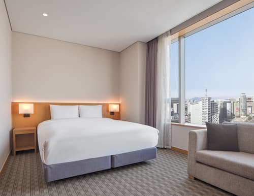 Sotetsu Hotels The Splaisir Seoul Dongdaemun, Room