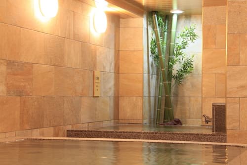 Vessel Hotel Campana Kyoto Gojo