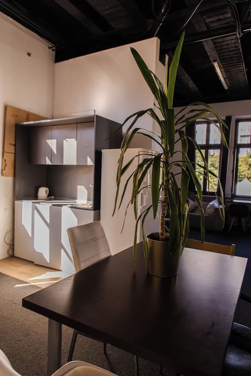 Blue Lotus Apartments