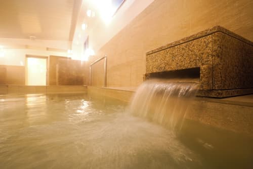 Hotel New Gaea Nishi Kumamoto Ekimae, Public bath