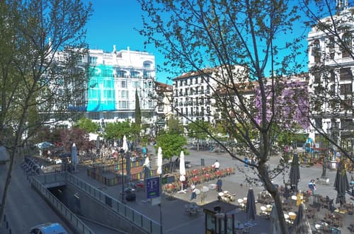 Hotel Miau