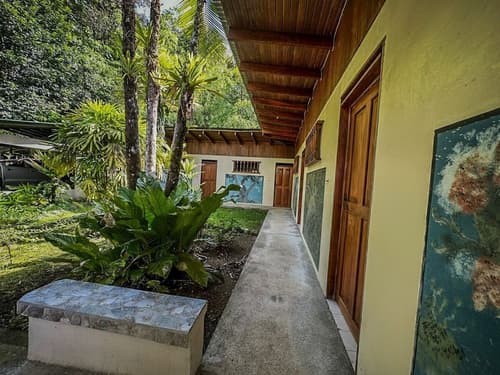 Ventanas en Corcovado