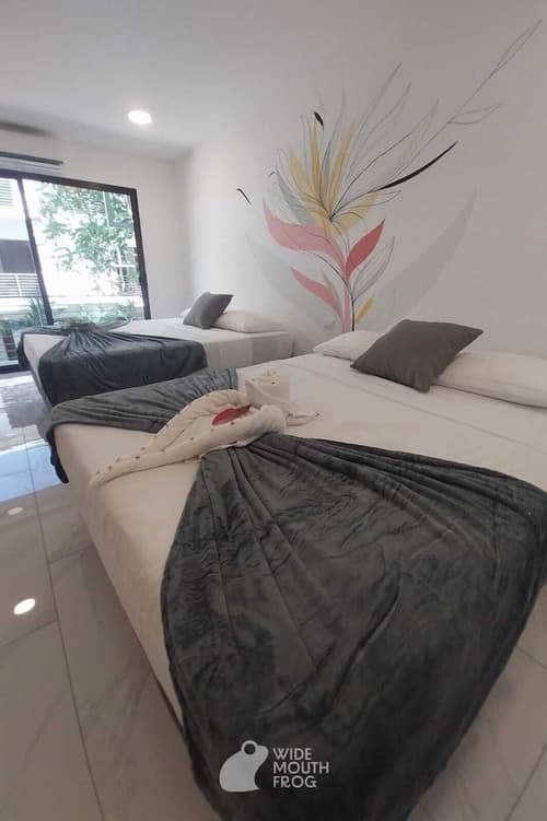 Wide Mouth Frog Hotel, Room