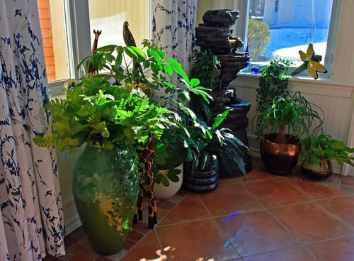 Miller House By the Bay, Terrace/patio