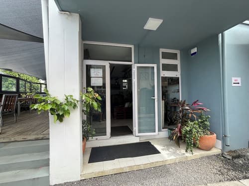 La Koquillishe, Reception