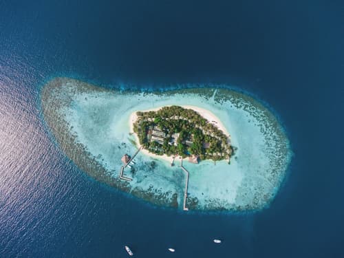 Eri Maldives, Primary image