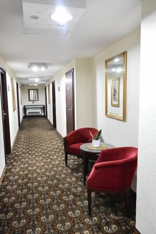 Great Polonia Kraków Kazimierz