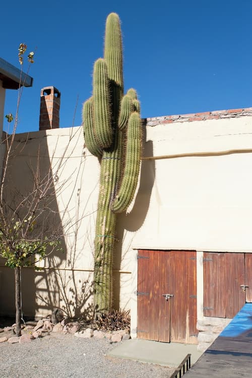 Hotel Cafayate, Property grounds