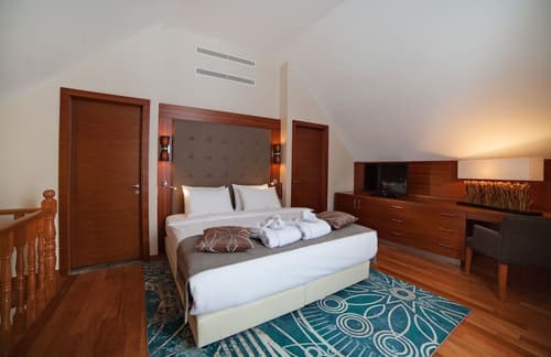 Crowne Plaza Borjomi by IHG, Room