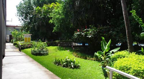 Hotel Boyeros, Garden