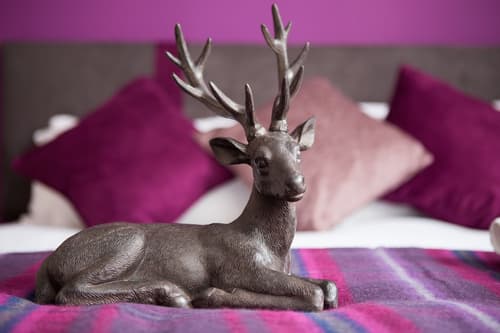 The Spires Serviced Apartments Edinburgh, Room