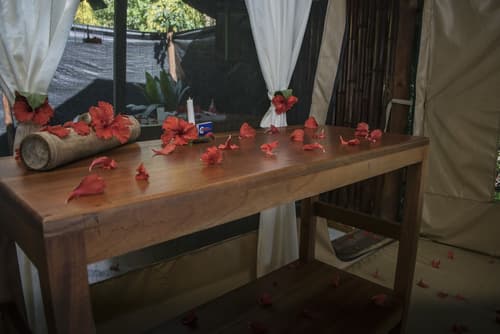 La Leona Eco Lodge, Room