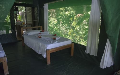 La Leona Eco Lodge, Room
