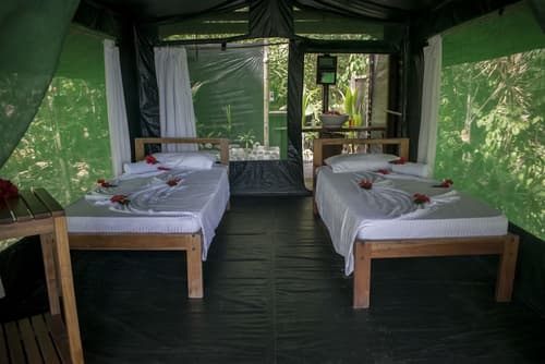La Leona Eco Lodge, Room
