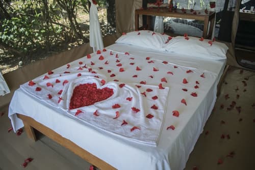 La Leona Eco Lodge, Room