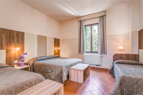 Hotel Arno Bellariva, Room