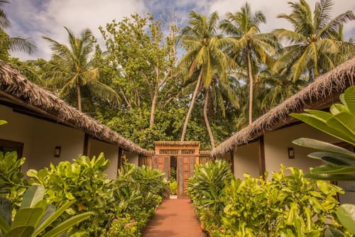 Plumeria Maldives, View from room