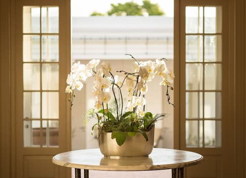 Leeu House, Interior entrance