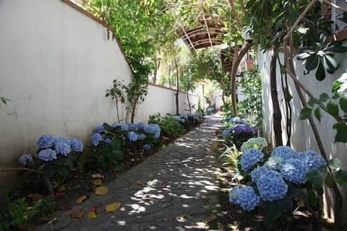 Hotel Company, Garden