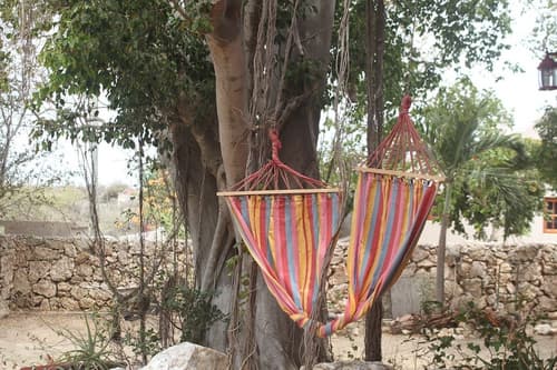 Fuego Mio Bed & Breakfast, Property grounds