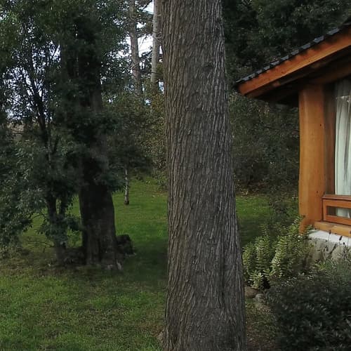 HTL La Malinka, Property grounds