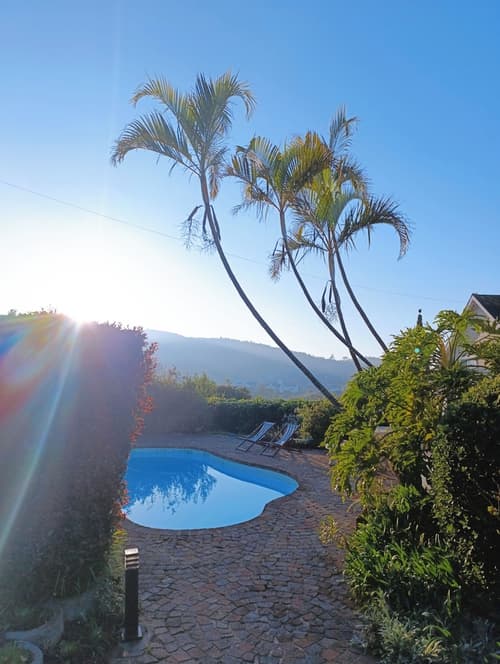 Guinea Fowl Lodge, Pool