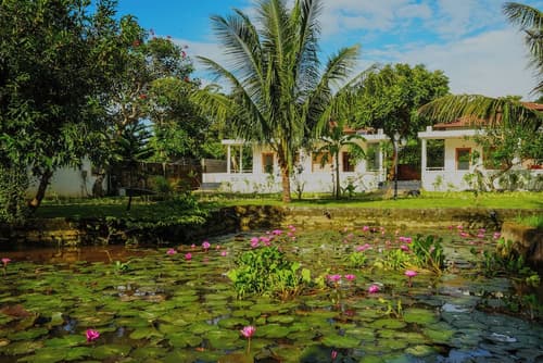 Yng - Luxor Resort Phu Quoc, Living area