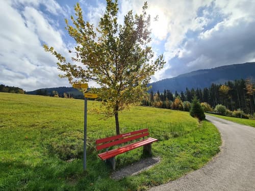 Hotel Eastside, Hiking