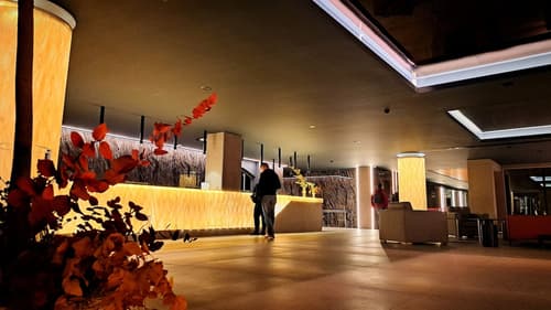 Alambique Hotel Resort & Spa, Reception