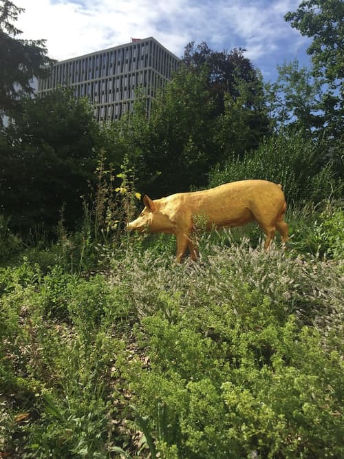 Hotel Militärkantine, Terrace/patio