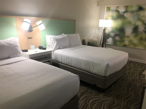 Wyndham Garden Lake Buena Vista – Disney Springs® Area, Room