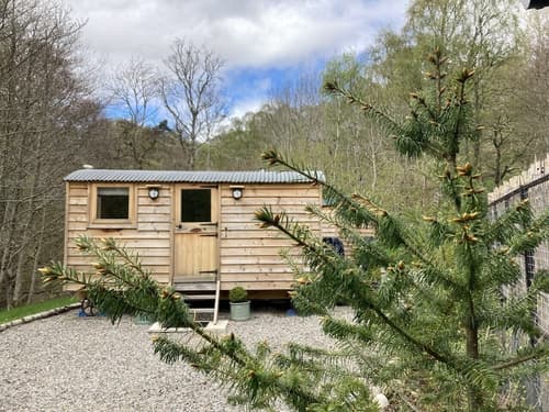 Highland Bear Lodge & Woodland Bear Huts