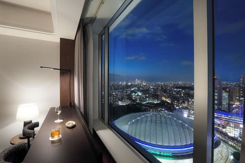 Tokyo Dome Hotel, Room