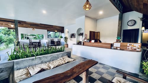 Canary Guesthouse, Reception