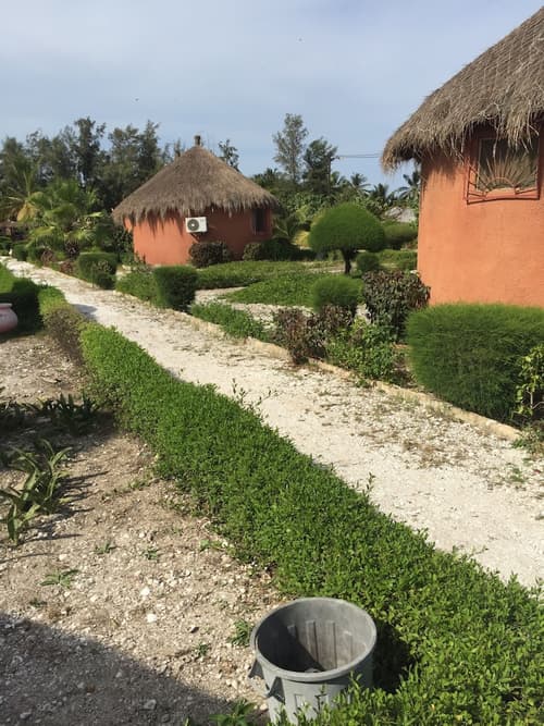 Les Cristaux Roses, Primary image