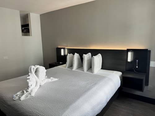 Motel 6 Hollywood