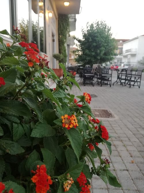 Leonidaion Guest House, Exterior