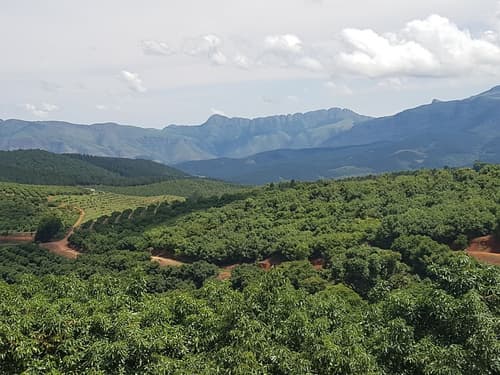 Sherwood's Country House, Exterior