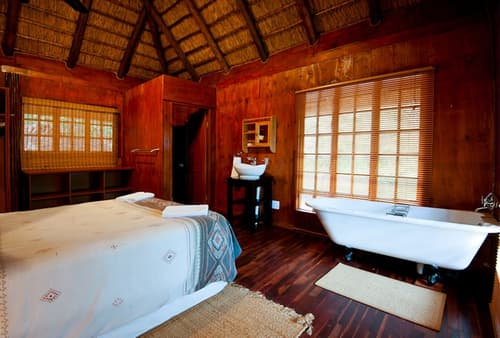 Amafu Forest Lodge, Room