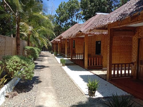 Alona Pawikan, Primary image