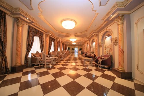 Borjomi Palace, Reception
