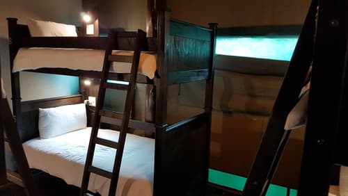 Budget Tented Village at Urban Glamping - Hostel