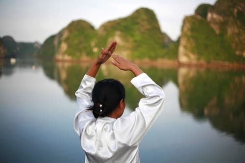 Paradise Elegance Cruise