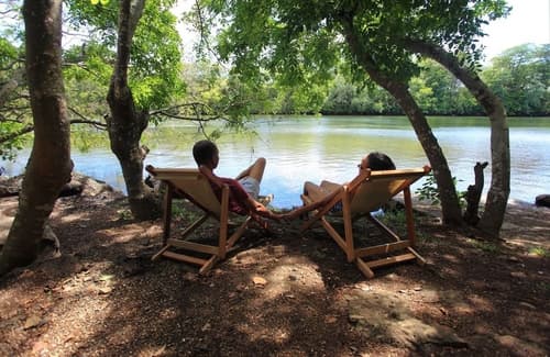 EvaZion, Primary image