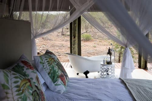 Raptor Retreat Game Lodge, Room