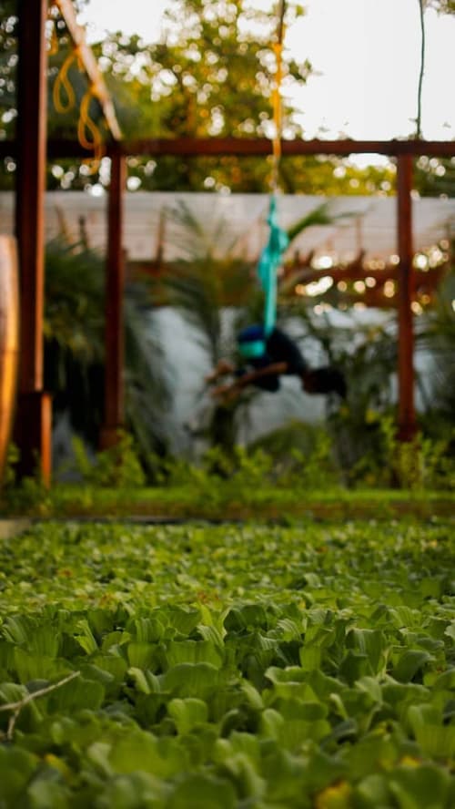 Malahini Kuda Bandos Resort, Spa