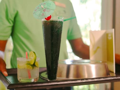 Jacana Amazon Wellness Resort